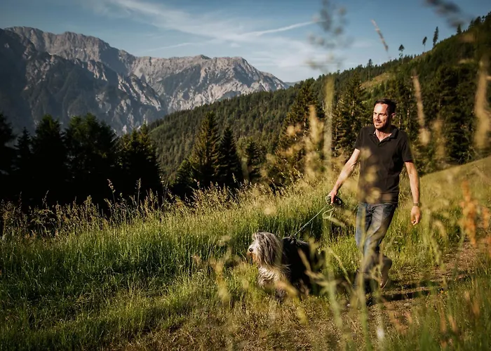 Flasswiesen Alm Osttirol Semesterbostad *